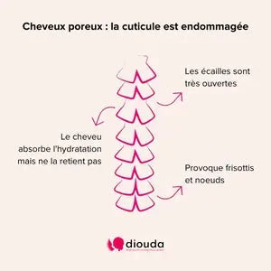 Soins Cheveux poreux Protecteurs et Réparateurs