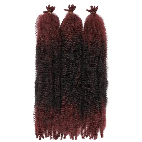 Mèches X-Pression Twisted Up Springy Afro Twist 24 Pouces 3X - Outré