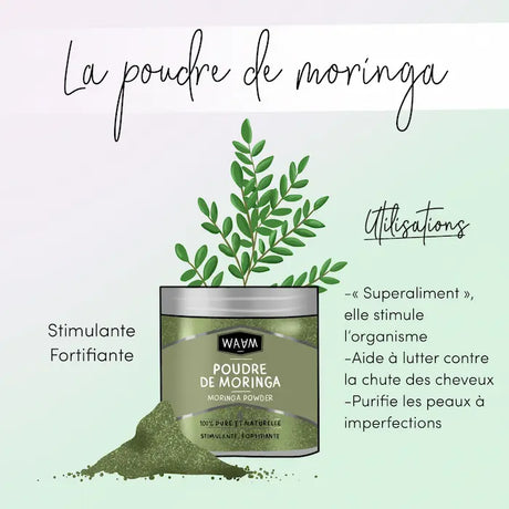 Comment utiliser la poudre de Moringa pour stimuler et fortifier la pousse des cheveux et lutter contre les imperfections de la peau