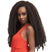 Mèches pour twist 2X Afro Dream Twist 18 pouces Janet Collection Nala Tress