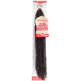 Rajouts Crochet Braids X-PRESSION KINKY PASSION WATERWAVE - Outre