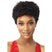 Perruque Curly Pixie Cut courte avec cheveux naturels humains Outre Fab & Fly Bloom