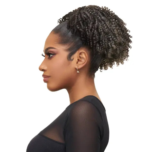 Postiche Curly Afro Puff Noir Vanessa STB Springy