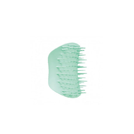 brosse exfoliante et massante couleur vert menthe pour le cuir chevelu, tangle teezer